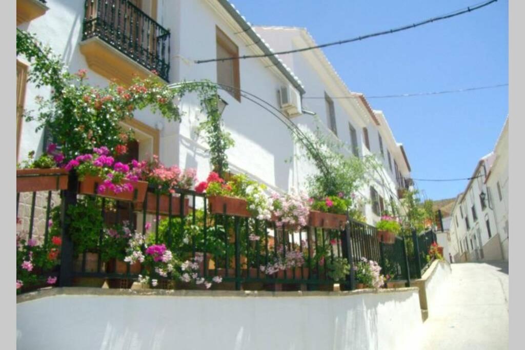 Villa Rosales أرذاليس المظهر الخارجي الصورة